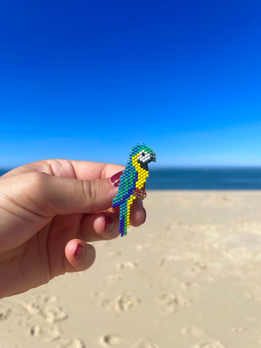 Broche Perroquet bleu