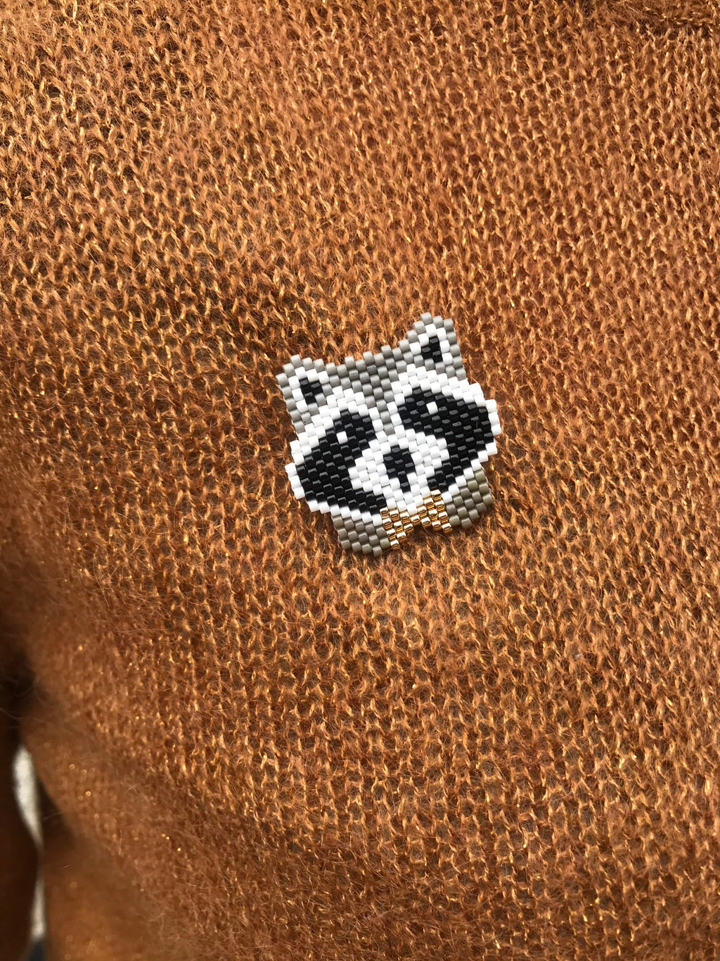 Broche Raton Laveur